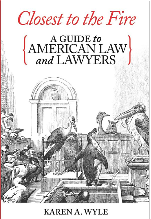 New book: Closest to the Fire: A Guide to American Law and Lawyers